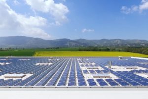 ¿Qué Debemos Saber Saber Sobre Autoconsumo Fotovoltaico? - Renewable ...